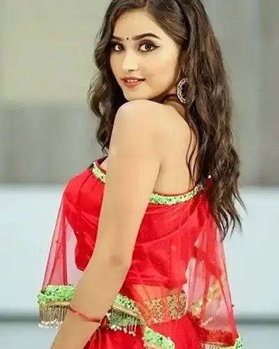 Escort In Punjab